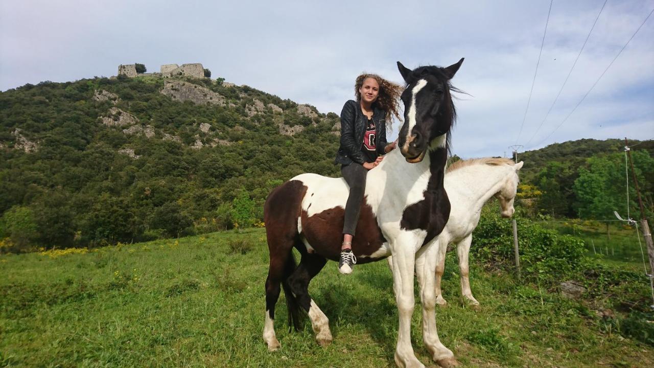 Gites A La Ferme - Hautes-Corbieres Termes Eksteriør bilde