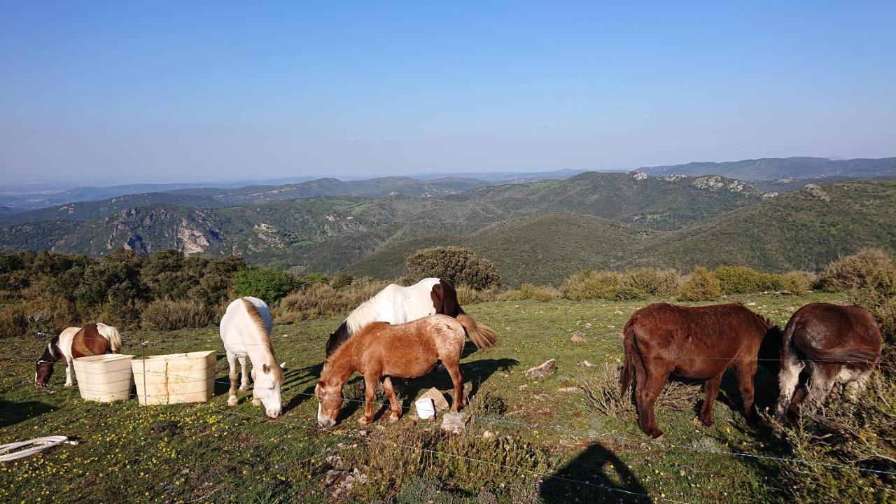 Gites A La Ferme - Hautes-Corbieres Termes Eksteriør bilde