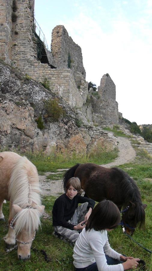 Gites A La Ferme - Hautes-Corbieres Termes Eksteriør bilde